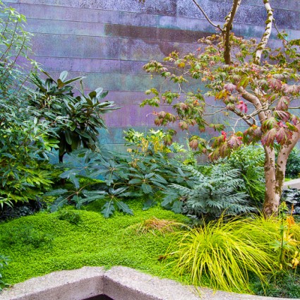 Golden groundcover and grasses add color to the gardens