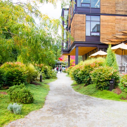 Enjoy the stroll up towards the Kids Discovery Museum