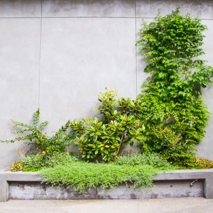 Planter boxes with year-round interest