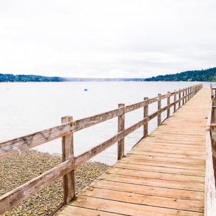 Enjoying the view on Bainbridge Island