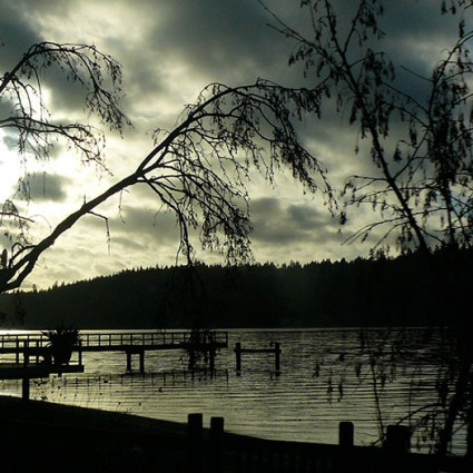 Night falls on Bainbridge Island